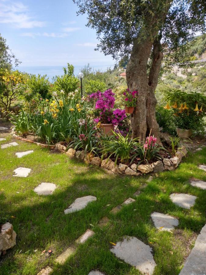 Villino Brunetto Azienda Agrituristica Camogli Kültér fotó