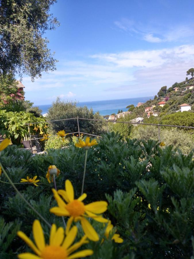Villino Brunetto Azienda Agrituristica Camogli Kültér fotó
