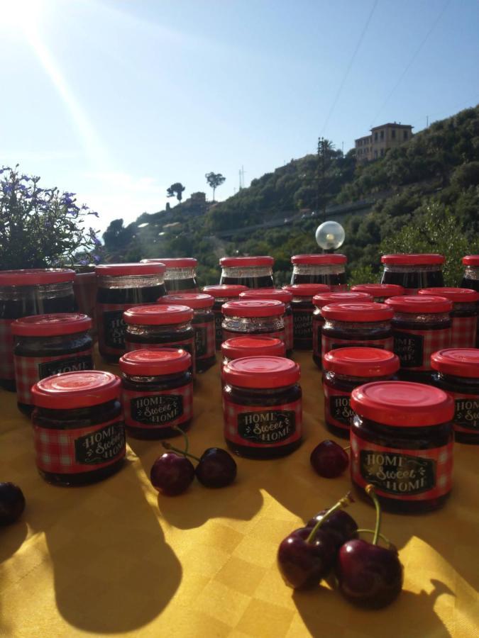 Villino Brunetto Azienda Agrituristica Camogli Kültér fotó