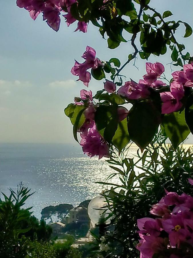 Villino Brunetto Azienda Agrituristica Camogli Kültér fotó